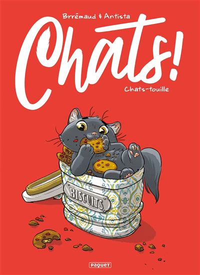 Chats T4 Chats-touille