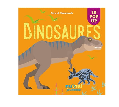 DINOSAURES  10 POP UP