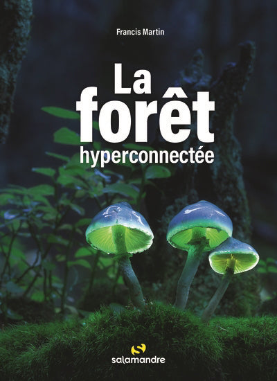 FORET HYPERCONNECTEE