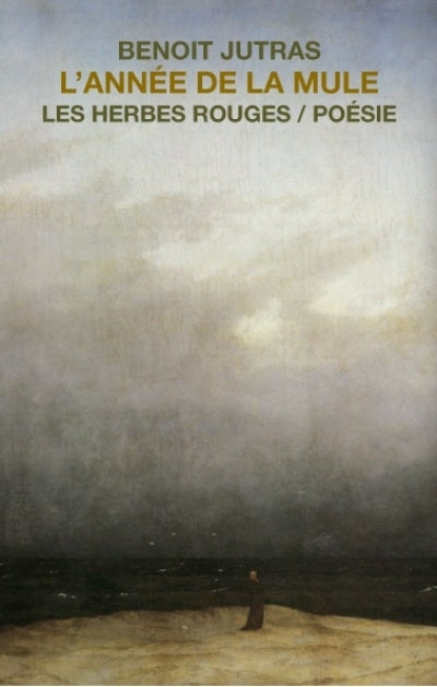 Année de la mule