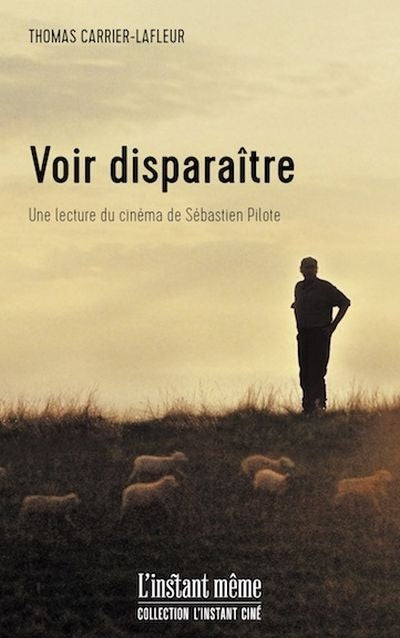 VOIR DISPARAITRE