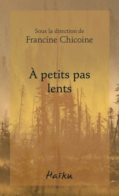 A PETITS PAS LENTS