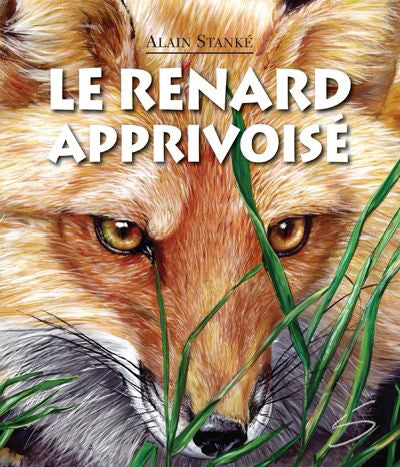 RENARD APPRIVOISE #116
