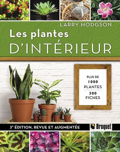 Plantes d'intérieur ne