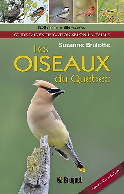 OISEAUX DU QUEBEC  N.E.