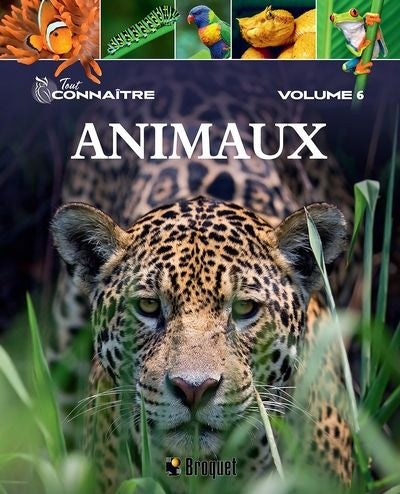 ANIMAUX 06