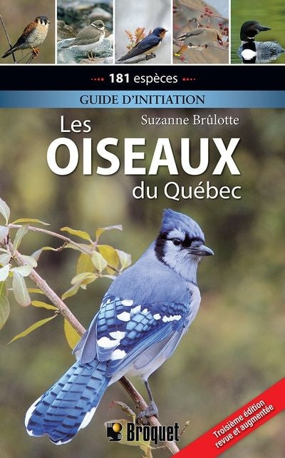 OISEAUX DU QUEBEC   3E EDITION