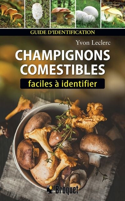 CHAMPIGNONS COMESTIBLES FACILES A IDENTIFIER N.E.