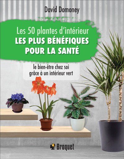 50 PLANTES D'INTERIEUR LES PLUS BENEFIQUES POUR LA SANTE
