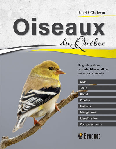 OISEAUX DU QUEBEC