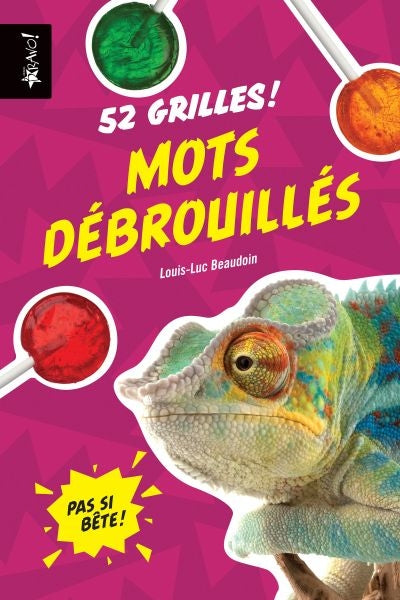 MOTS DEBROUILLES -52 GRILLES!