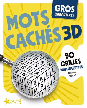 MOTS CACHES 3D -GROS CARACTERES -NE