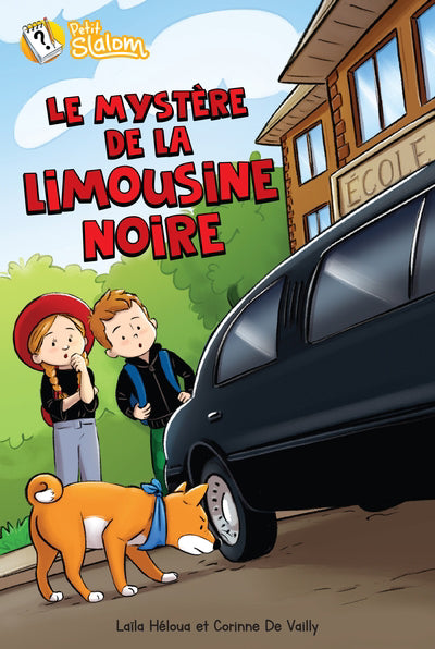 MYSTERE DE LA LIMOUSINE NOIRE