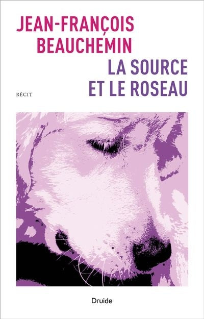 SOURCE ET LE ROSEAU