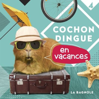 COCHON DINGUE EN VACANCES T4