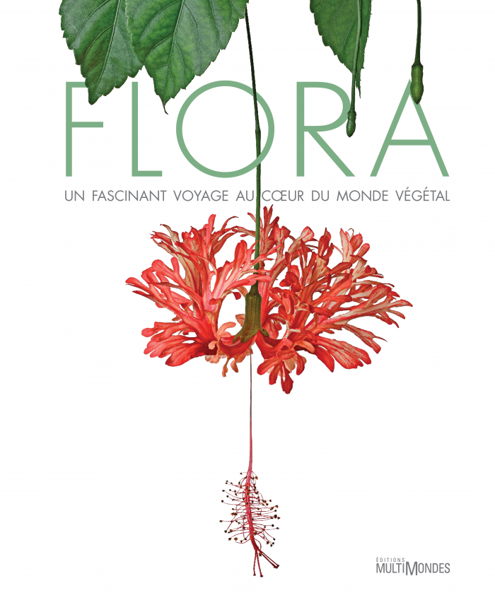 FLORA