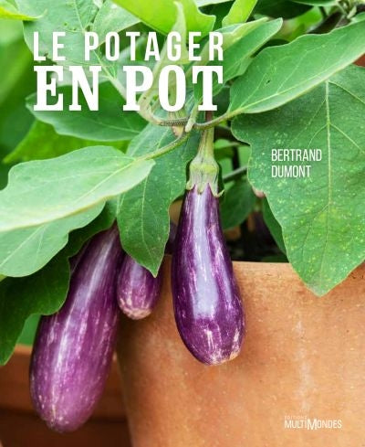 LE POTAGER EN POT