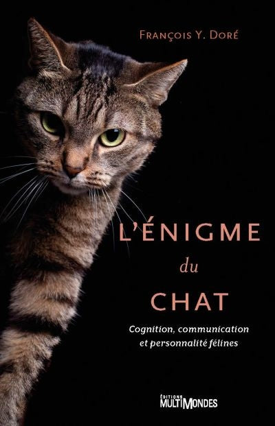 ENIGME DU CHAT