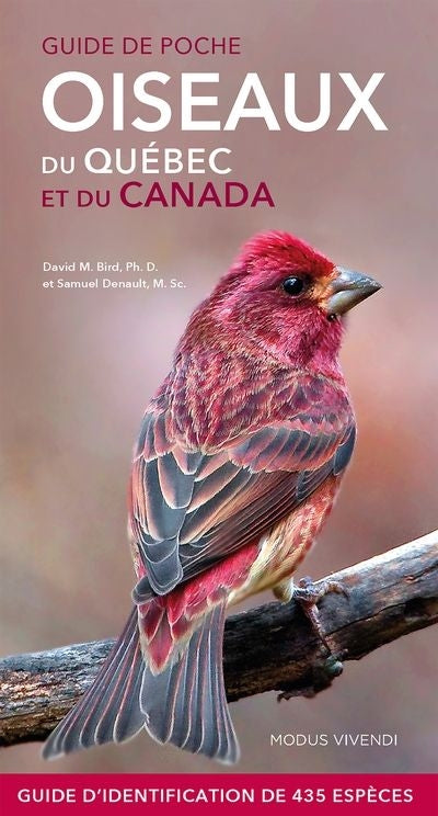 OISEAUX DU QUEBEC ET DU CANADA -POCHE