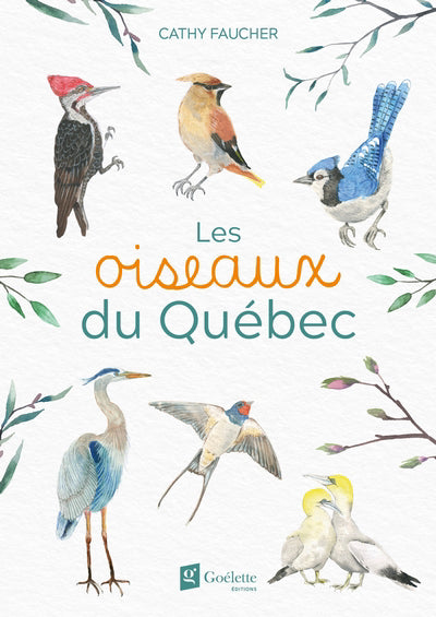 OISEAUX DU QUEBEC