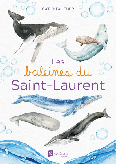 BALEINES DU SAINT-LAURENT