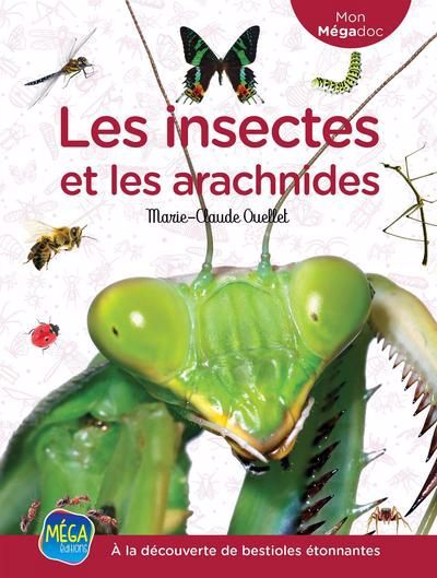 INSECTES ET LES ARACHNIDES