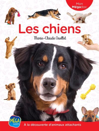 CHIENS