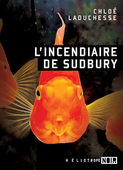 INCENDIAIRE DE SUDBURY