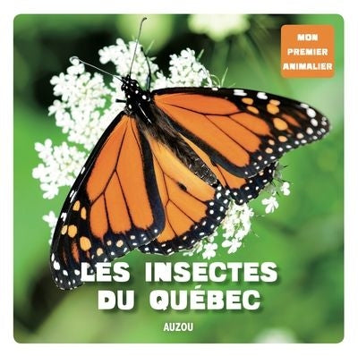 INSECTES DU QUEBEC