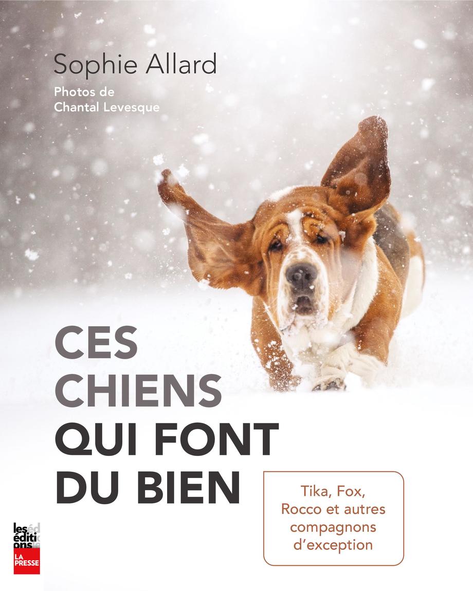 CES CHIENS QUI FONT DU BIEN : TIKA, FOX, ROCCO ET AUTRES COMPAGNO