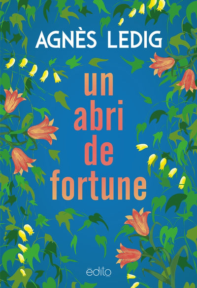 UN ABRI DE FORTUNE | AGNÈS LEDIG