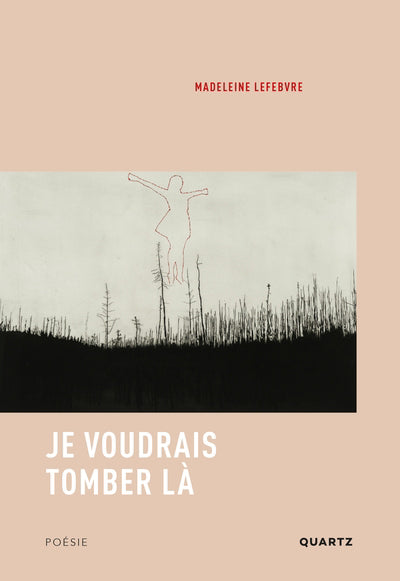 JE VOUDRAIS TOMBER LA