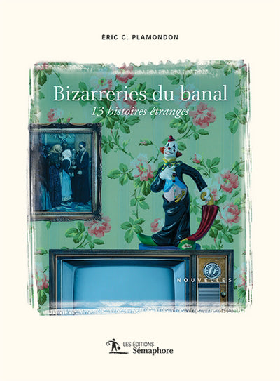 BIZARRERIES DU BANAL