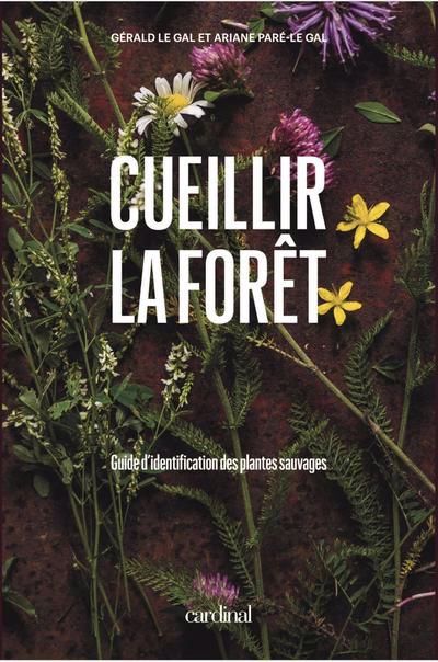 CUEILLIR LA FORET