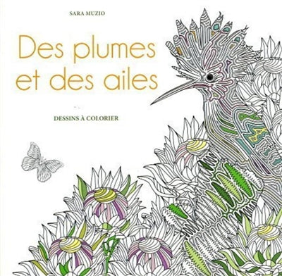 DES PLUMES ET DES AILES - DESSINS A COLORIER