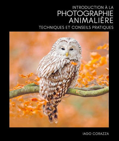 INTRODUCTION A LA PHOTOGRAPHIE ANIMALIERE: TECHNIQUES ET CONSEILS