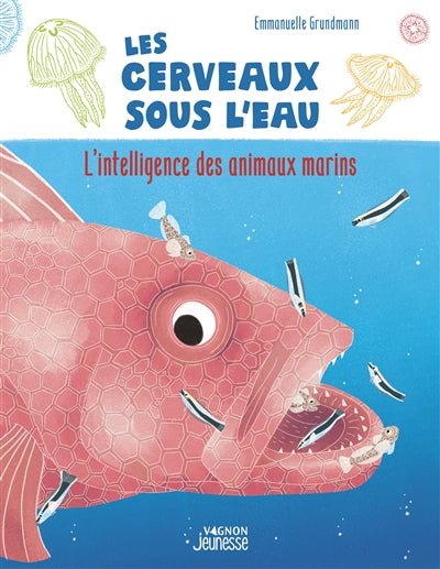 CERVEAUX SOUS L'EAU  - L'INTELLIGENCE DES ANIMAUX MARINS