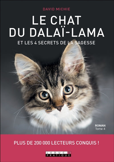 CHAT DU DALAI-LAMA ET LES 4 SECRETS DE LA SAGESSE