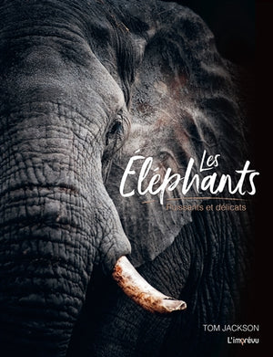 ELEPHANTS : PUISSANTS ET DELICATS