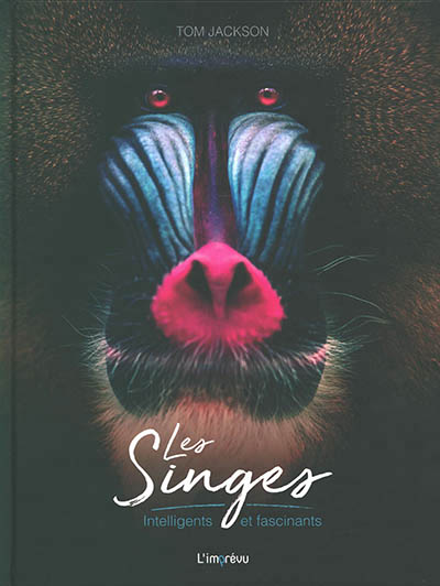 SINGES : INTELLIGENTS ET FASCINANTS