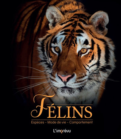 FELINS (ED. 2022)