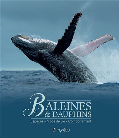 BALEINES & DAUPHINS