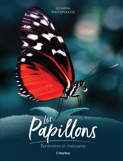 PAPILLONS : EPHEMERES ET CHATOYANTS