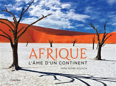 AFRIQUE: L'AME D'UN CONTINENT