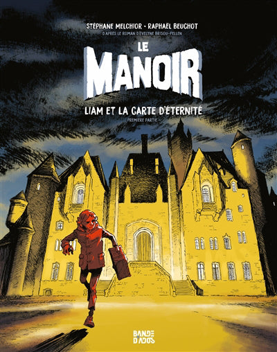 MANOIR T01 -LIAM ET LA CARTE D'ETERNITE