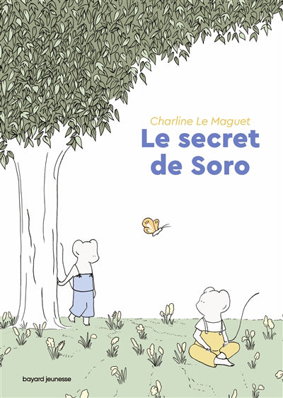 SECRET DE SORO