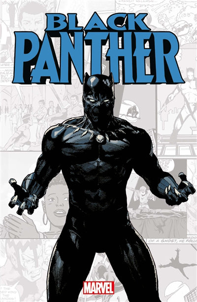 BLACK PANTHER (MARVEL-VERSE)