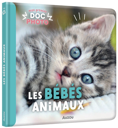 MON PREMIER DOC PHOTO LES BEBES ANIMAUX (2023)