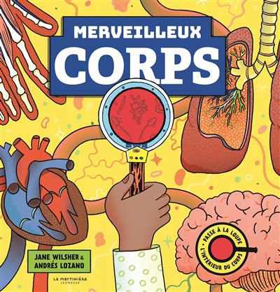 MERVEILLEUX CORPS