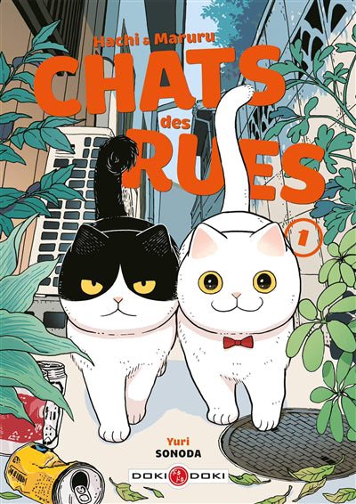 HACHI ET MARURU T01 -CHATS DES RUES